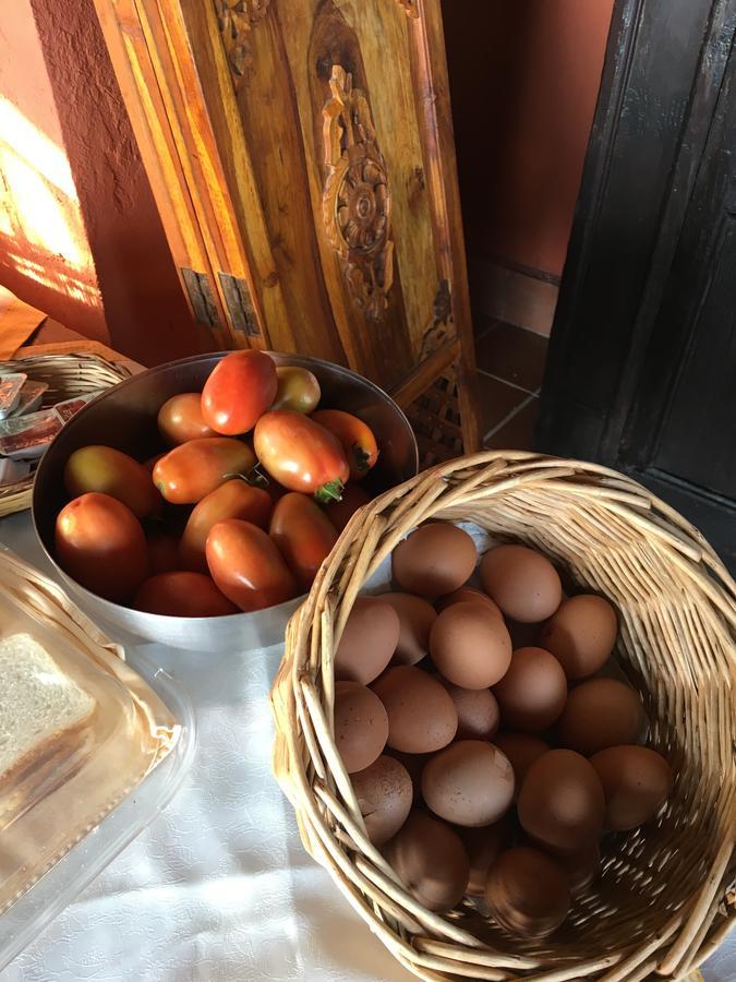 Agriturismo Ruralia Santa Domenica  Eksteriør billede